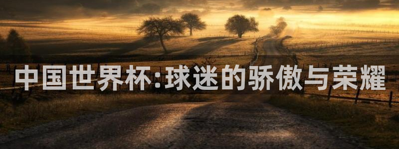 世界杯今年：中国世界杯:球迷的骄傲与荣耀