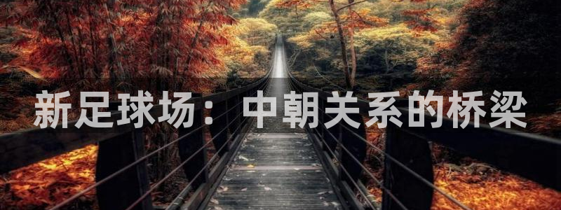 世预赛直播：新足球场：中朝关系的桥梁