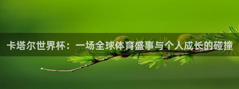 中国 世界杯：卡塔尔世界杯：一场全球体育盛事与个人成长的碰撞
