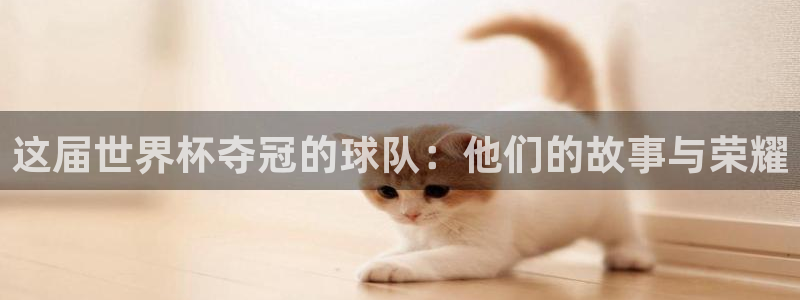 世界杯欧洲区赛程：这届世界杯夺冠的球队：他们的故事与荣耀