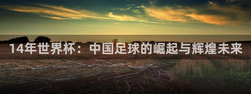 世界杯欧洲区赛程：14年世界杯：中国足球的崛起与辉煌未来
