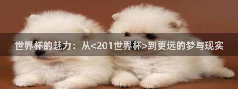 2026世界杯倒计时：世界杯的魅力：从<201世界杯>到更远的梦与现实