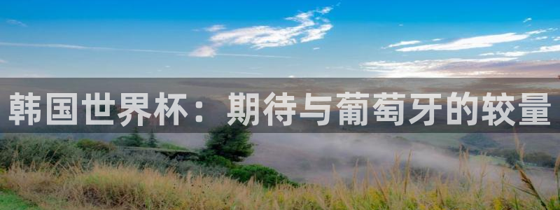 世预赛赛程表：韩国世界杯：期待与葡萄牙的较量
