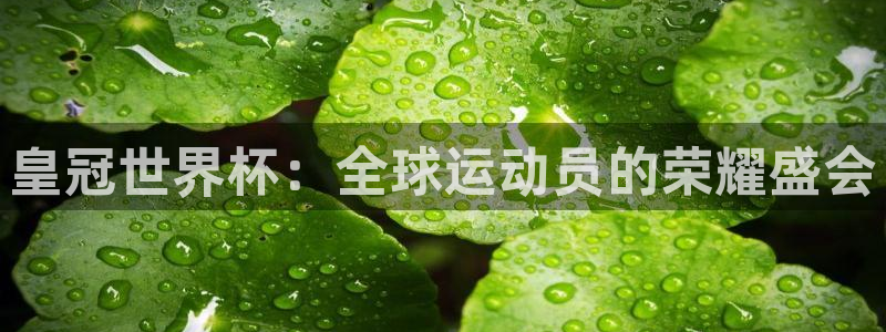 世界杯官网：皇冠世界杯：全球运动员的荣耀盛会