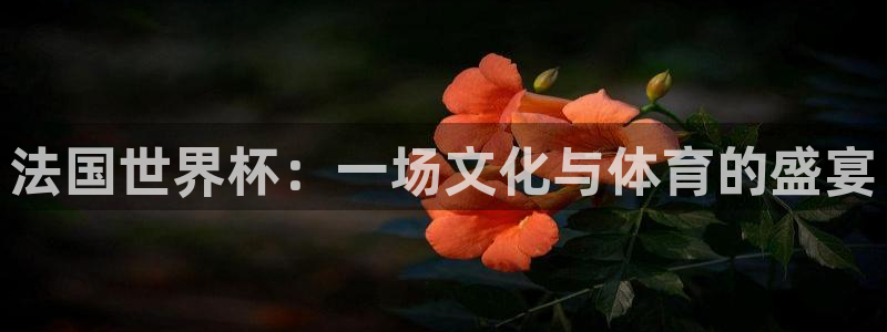 2026葡萄牙杯赛程表：法国世界杯：一场文化与体育的盛宴