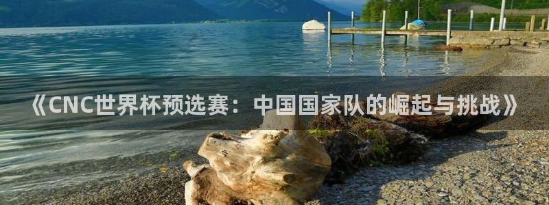 2026足球世界杯赛程：《CNC世界杯预选赛：中国国家队的崛起与挑战》