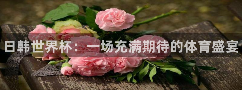 2026世界杯亚洲区预选赛赛程：日韩世界杯：一场充满期待的体育盛宴