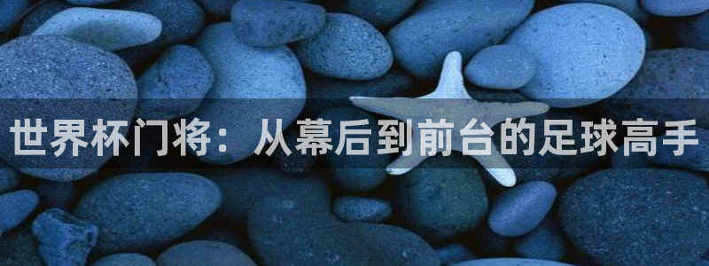 足球世界杯2026年赛程时间表：世界杯门将：从幕后到前台的足球高手